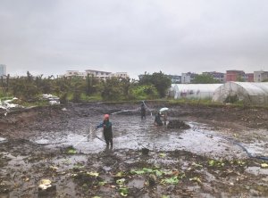 河源河道鱼塘清淤